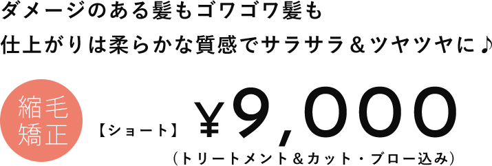 ダメージのある髪もゴワゴワ髪も 仕上がりは柔らかな質感でサラサラ＆ツヤツヤに♪　縮毛矯正¥9,000